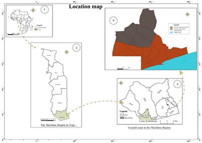 Climate change and urban stormwater: vulnerability analysis of the 2010 floods in Lomé, Togo